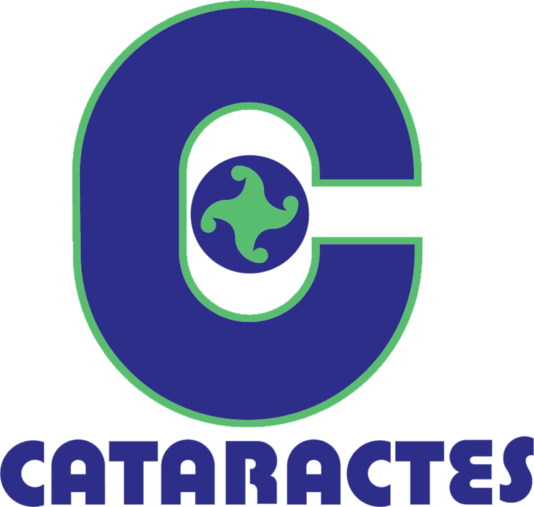 shawinigan cataractes 1978-1990 primary logo iron on transfers for clothing
